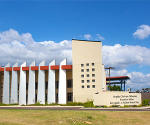 Sophie Christen McKendrick, Francisco Ochoa, and Fernando A. Salinas Branch Library